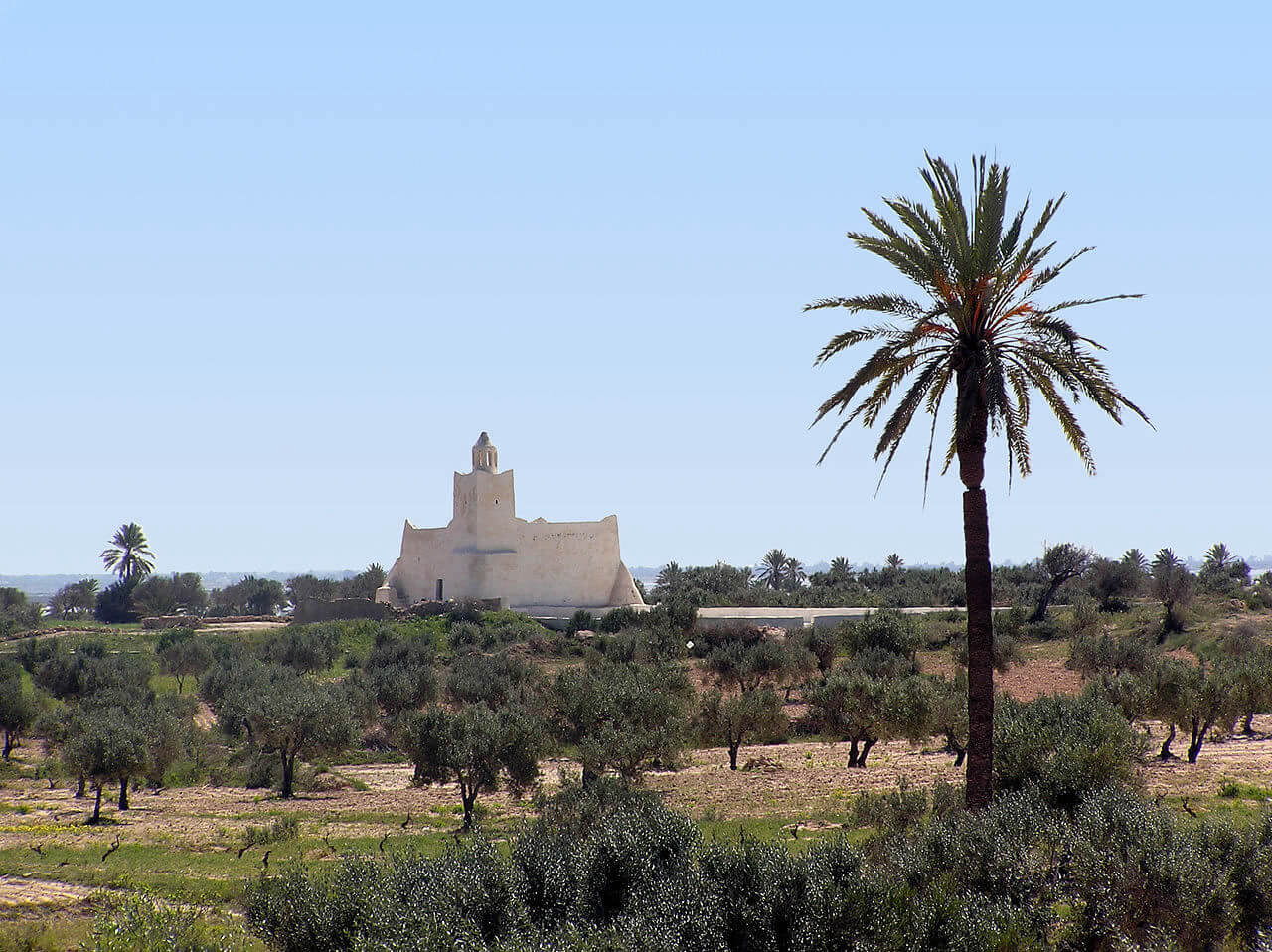 Djerba au calme de la campagne